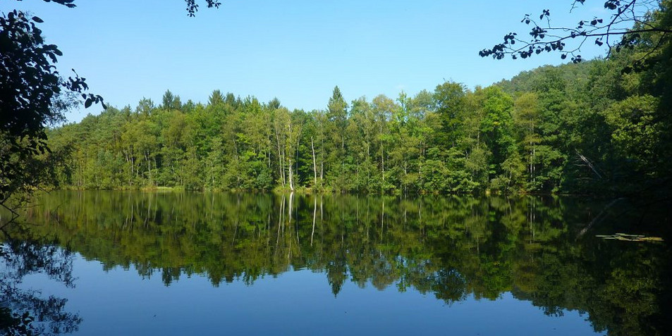 Erbsenweiher im Biosphärenreservat Pfälzerwald-Nordvogesen
